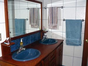 The downstairs bathroom can be entered from a bdroom or the kitchen. It has a shower.