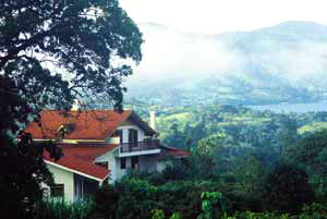 The house and cabina have wonderful lake, mountain, and forest views.