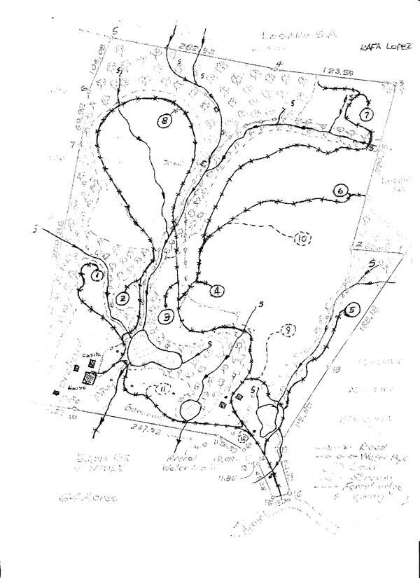 Sketch of property as currently developed.