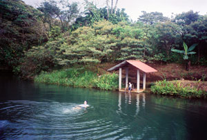 The clear, constantly refreshed water is great for swimming.