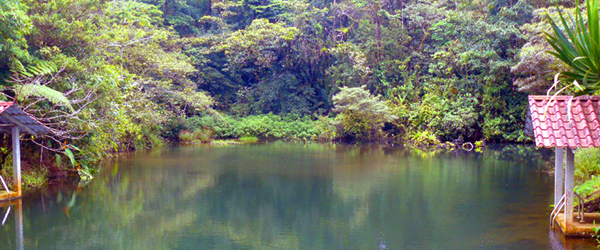 The huge pure-water swimming pond is constantly refreshed by a stream running down from an exceptionally strong spring.