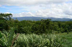 There are Lake Arenal views.