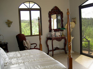 Bedroom 2, like bedroom 1, has beautiful views through handsomely designed windows and doors.