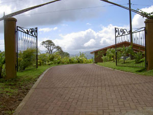 The unique gate and wide, curving, brick-paved driveway provide a handsome approach to the house.