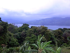 Even on a cloudy day, the lake vista is beautifully intriguing.