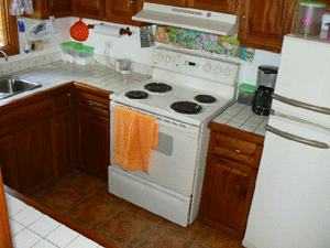 The kitchen is a pleasant and efficiently laid out.