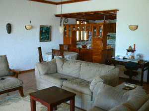 Beautiful cabinets partially separate the living room and kitchen.