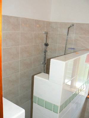 The modernistic shower in one of the 2 1/2 baths.