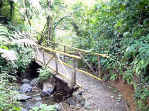 One of two bridges crosses the stream.