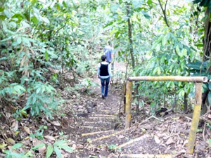 A visitor descends the trail that winds through the forested area of the property.