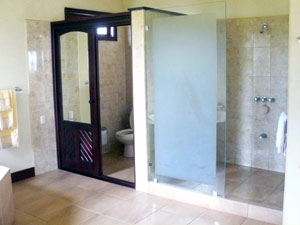 The shower and toilet stall in the master suite.