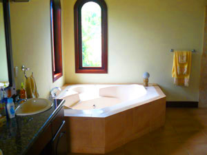 The jacuzzi tub in the master suite.