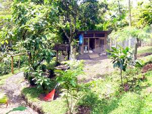 A rabbit enclosure hides within the botanical gardens.