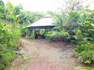 The rancho is being used to tend the plants of the botanical garden.