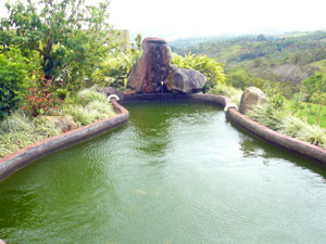 Past the tilapia pond on the west side of the house, the lakeside hills rise above the village of San Luis. 