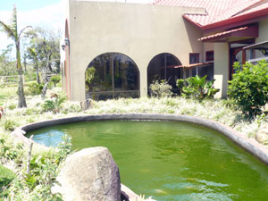 On the west side of the house, the side opposite the lake, a tilapia pond is situated before the entry veranda. 