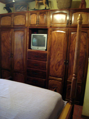 The closet wall with TV in the aster bedroom.