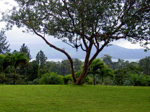 Here is the fine view of the lake and the wide front lawn from the veranda. 