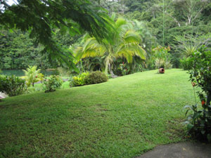 The landscaped grounds with nice lawns overlook a forest ppol fed by a stream running through the community. 