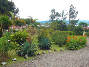 The front landscaping and lake from the veranda.