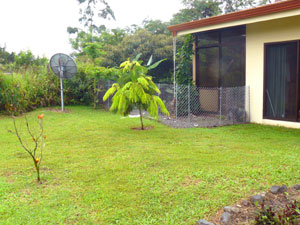 The back porch and the pen for the two dogs have been added. 