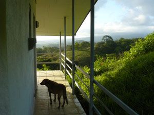 The apartment balcony has fine lake and territorial views as do the rooms inside. 