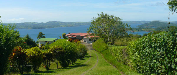 Down the long gently sloping driveway is a view of the house and shop with a wonderful lake vista beyond them. 