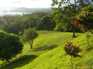 Beautiful grassy slopes lead to the various levels.