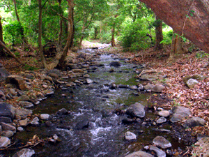 This stream is one joinging the Canas River near Libano.