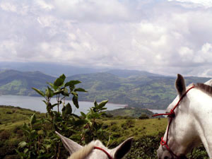 From high atop the north side of the lake, horseback rides have a view of the Tronadora, San Luis, El Roble section of the south side with the two Tonadora peninsulas.