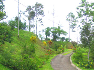 The entry road in the gated community