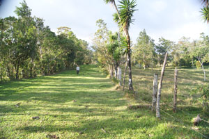 This grassy lane leads to 3 of the 4 lots, including this one, which is on the right.