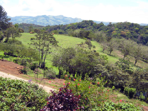 The lake highway passes before the lot while in the distance are the mountains of Monteverde.