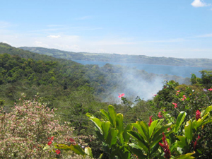 The lot, fronted by ornamental plants, has a substantial lake view.