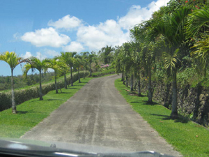 An attractive ornamental bordered paved road leads to the lot.