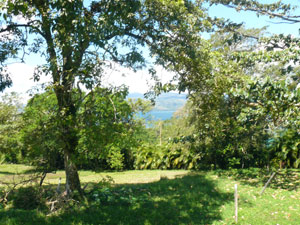 Lake Arenal can be glimpsed through the trees. 