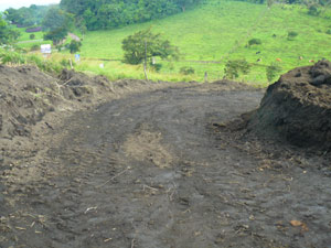 A driveway now curves up from the lake highway to the building site.