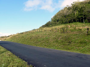 The mostly pastured lot slopes upward from the highway fence into the thick woods. 