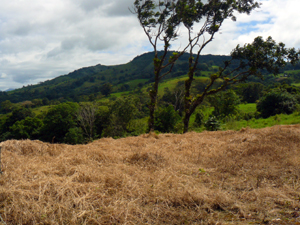 The views from the lot include mountainous areas.