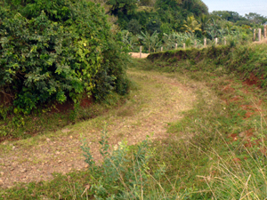 This compact public secondary road reaches the lot about 300 yards above the lake highway.