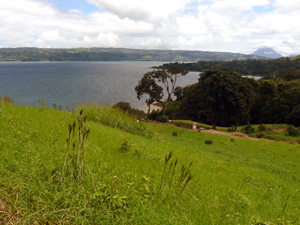 Below the level building areas, the lot slopes down to 3 other lots served by the same internal road