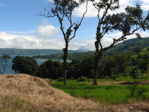 The volcano is framed by twin trees in this photo from the top of the lot.