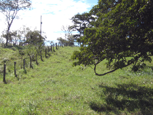 An easement has been provided with a road to reach the two lots from the lake highway.