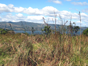 From a great buildable site on the upper lot there is this fine view of Lake Arenal.