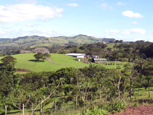 The the south a nice finca strethces over a neighboriing hill.