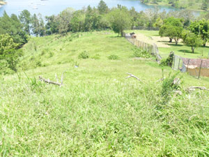 The lot extends from the road about halfway down this pastured hill.