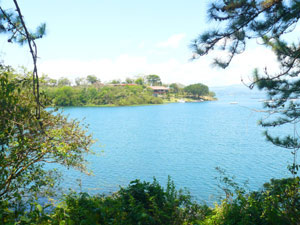 Here's the view of San Luis Cove from the lake edge at the end of the lane.