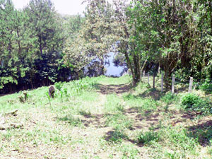 The lot has an easement which leads to this lane that extends to the lake edge. 