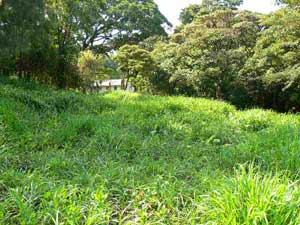 Another nice homesite.