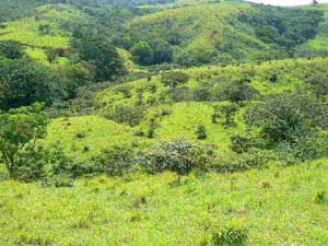 A wide valley below the lots